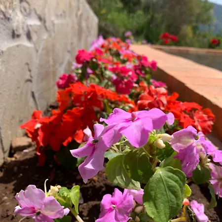 La Casa Dei Colori Bed & Breakfast *